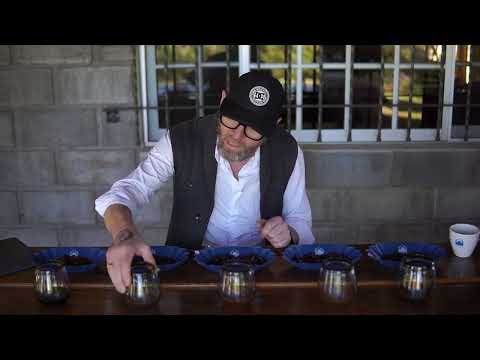 Coffee fermentation explained