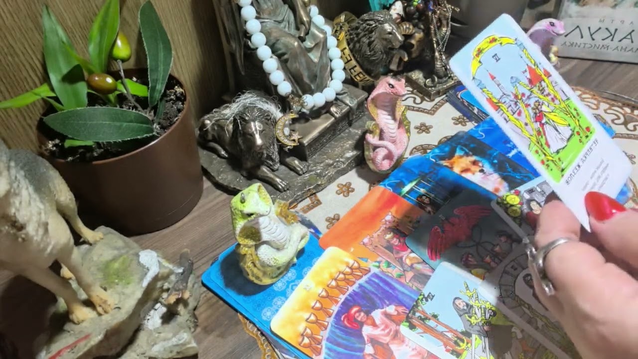 Из Потока на что нужно обратить внимание? На Откаты , бумеранги 🪃, наказание 