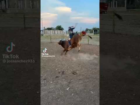 Por confiado privan al jinete!!! #jaripeo #rodeo #toros #bull #viral #pbr #video #mexico