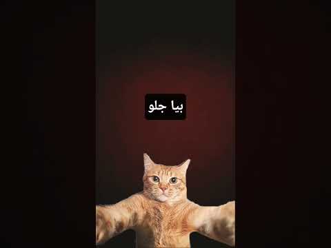 ۲۲ اکتبر ۲۰۲۵