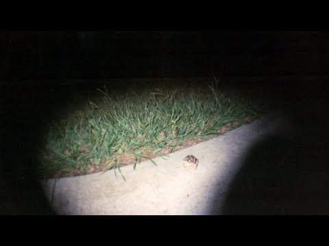 DJ Krops - Lofi Mix #4 (Makes Sense, Golden, Temple) Testing