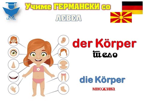GERMANSKI za pocetnici so LEVEL - Lekcija 9 (Die Körperteile)