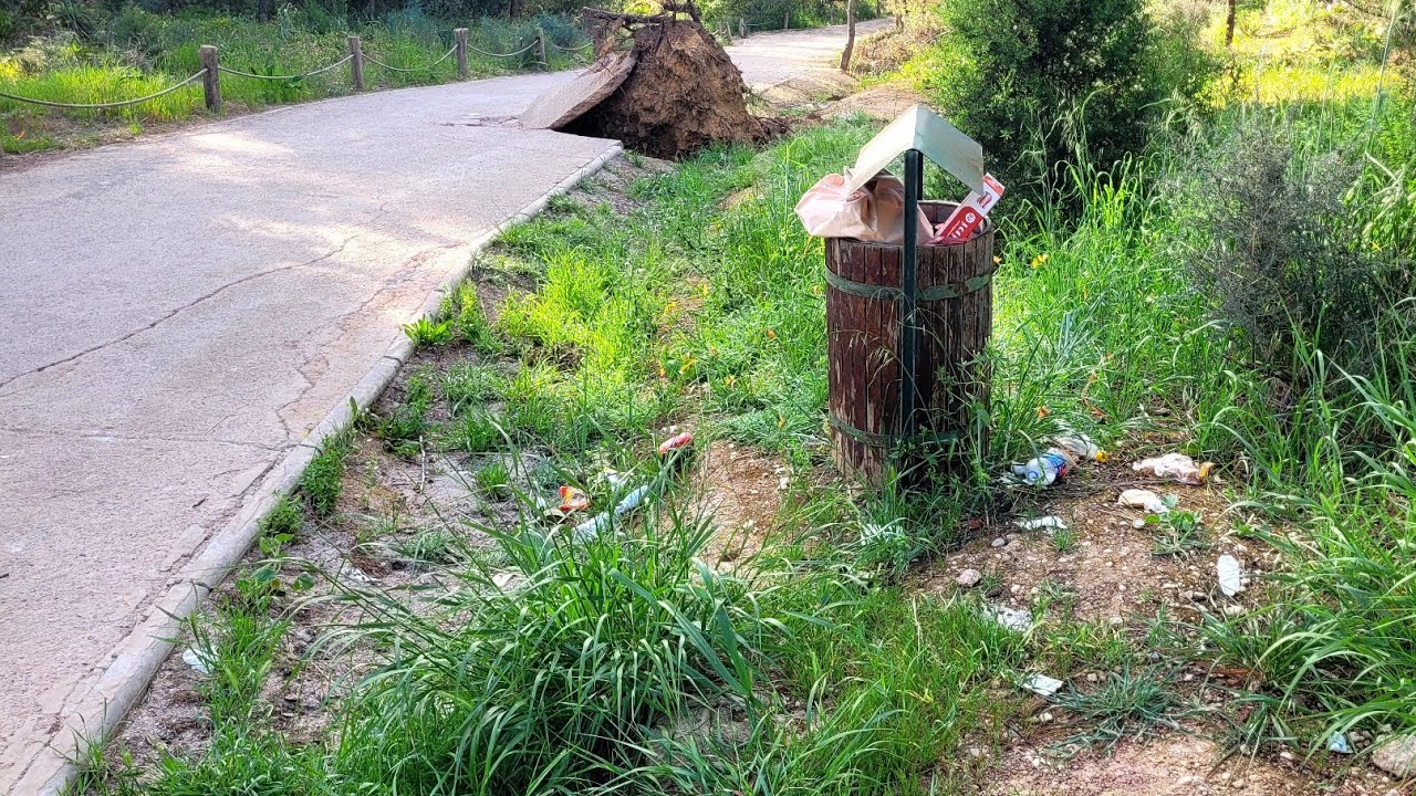 الحفاظ على البيئة والاعتناء بغابة عين الشقف مسؤولية الجميع