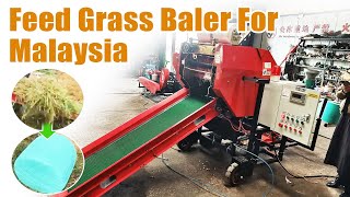 Positive feedback about silage baler from Malaysia | Silage feed grass baler for round bales making