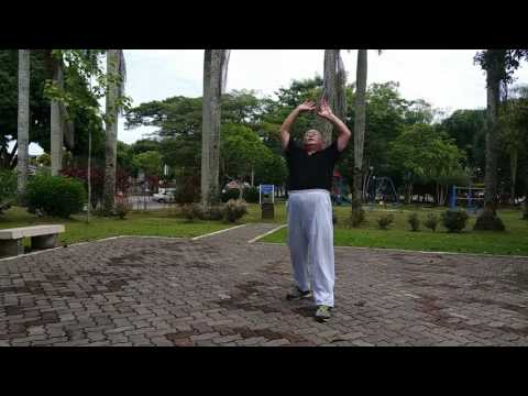 Taiji Qigong Shibashi ~ Set 1
