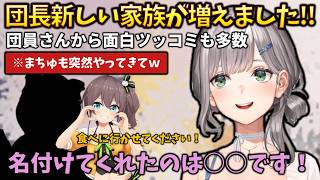 【新しい家族】家族が増えた団長だったが、命名者は本人ではなく○○さんで、団員さんからダジャレかとツッコミを受けていた件 #holoclip #白銀ノエル #夏色まつり #大空スバル