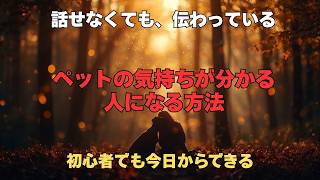 ペットの言葉を聞く前に知っておきたいこと｜アニマルコミュニケーション入門 【 アニマルコミュニケーション やり方 初心者 ペットの気持ち テレパシー 】