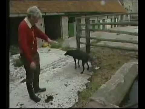 Pob's Program with Dick King-Smith. Episode 3.