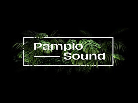 Teaser #2 - Avance cartel PamploSound Primavera