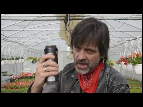 PEJAUD - Toujours dans l'coup