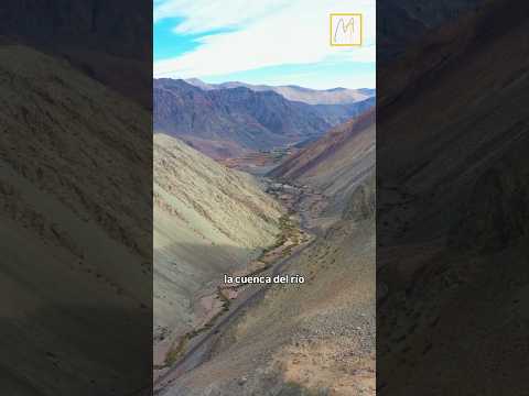 Cap 5 De las Venas de La Cordillera al Río Copiapó, Zoilo Jerónimo Escalante , Chile #Atacama #flora