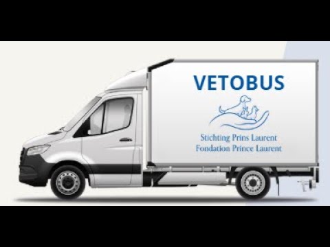 Vetobus video thumbnail