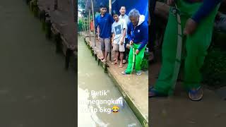 Download lagu mancing bawal dpt jp 6kg..... mp3