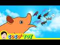 A Shy Baby Pig Story Learn Animals Name CoCosToy