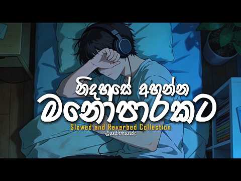 Manoparakata Sindu 🥺 ❤️මතක අවුස්සන සිංදු | New Sinhala Song Collection | Mind Relaxing Sinhala Songs
