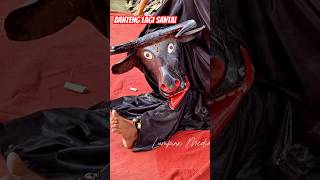 Download lagu Banteng ngantuk #bantengan #ngamuk mp3