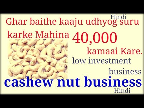 How to start a cashew nut business