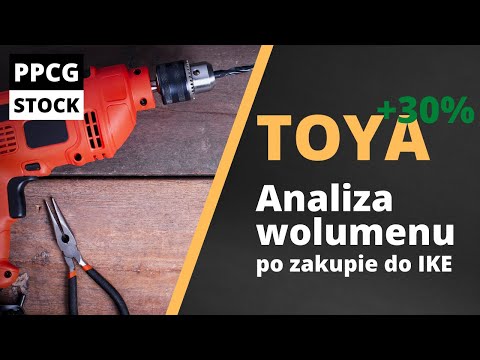 Toya w IKE / 30% zysku w 40 dni