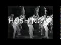 HUSH NOW by SUNNY LEVINE -full album of videos compiled