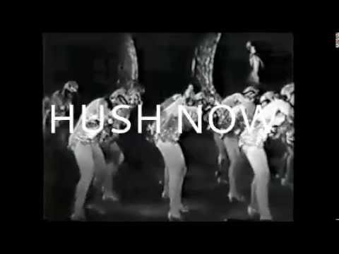 HUSH NOW by SUNNY LEVINE -full album of videos compiled