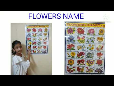 FLOWERS NAME IN ENGLISH FOR CHILDREN ||