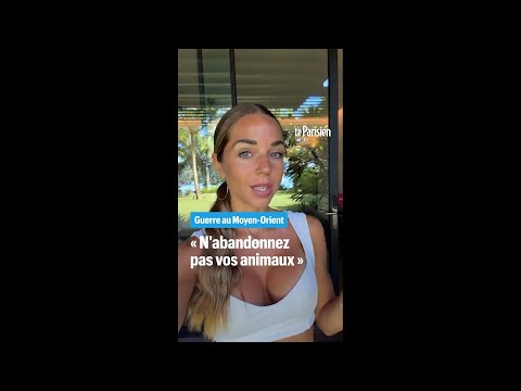 Des influenceurs accusés d'abandonner leurs animaux dans leur fuite