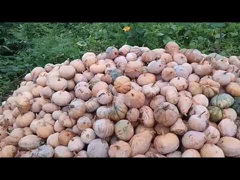 # , lockel vage tabel origensh kodu ❤️❤️🇮🇳🙏