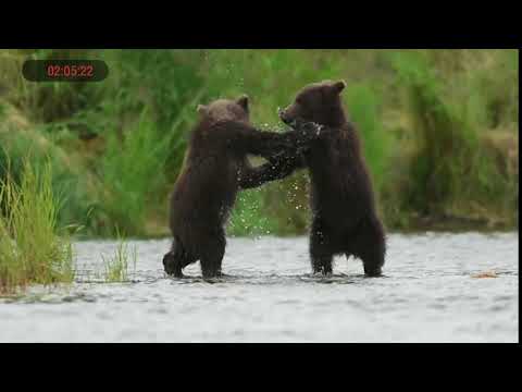 ATN BinoX 4K - Video Record In Sharp 1080P