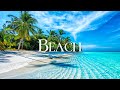 Tropical Beach 4K Relaxation Film - Relaxing Piano Music - Natural Landscape
