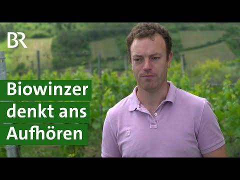 , title : 'Weinbau: Wie schützen Winzer Weintrauben vor Pilz? | Bio Weinbau | Landwirtschaft | Unser Land | BR'