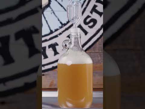 How Long Does It Take To Make Beer