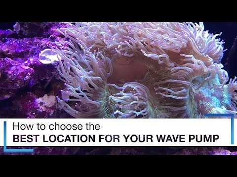 How to Choose the Best Location for Your Wave Pumps