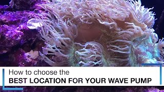 How to Choose the Best Location for Your Wave Pumps