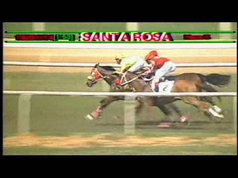 Arima Race Club - Day 3 - January 18, 2014 - Race 5