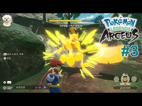 Kleavor: Lord of the Woods BOSS BATTLE Pokémon Legends: Arceus (Korean) POKEMON #3