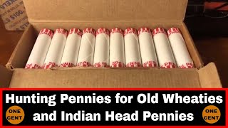 Coin Roll Hunting Pennies - Teens Wheat Cent