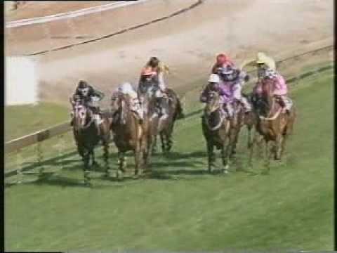 Gloaming Stakes 1993
