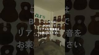 ウクレレ買うならラプラプへ | フィリピンセブ島