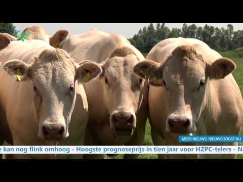 TV: Landbouw levert 7.500 hectare per jaar in