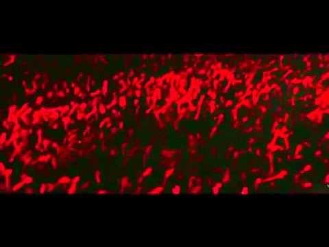 Avicii vs Tim Berg - Seek Levels (Angelo Emme Mashup)