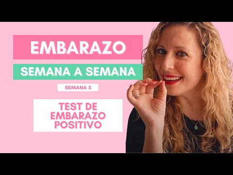🤰 EMBARAZO Semana a Semana. Semana 5 de embarazo. Test de embarazo positivo.