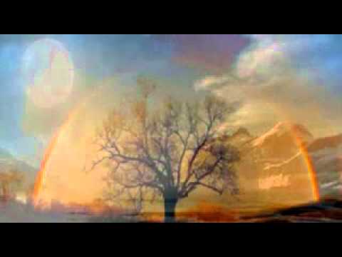 1160 Xamanica - Hilario Miguel Chiriap - Uwishin Tsensak ( Healing song )