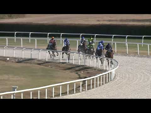 2021.10.31. 03. futam - KEDVESI JÓZSEF EMLÉKVERSENY HENDIKEP (IV.o.) (szintetikus pálya)