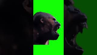 Angry monkey green screen