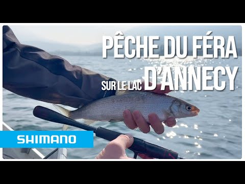 Shimano Fishing France