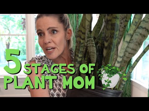 5 Stages of Plant Mom 🌱