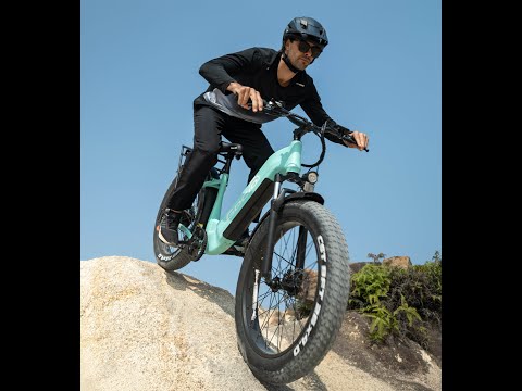 Gocio Ebike Display Vedio-Model 35