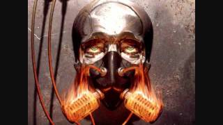 Swollen Members - The Capitol