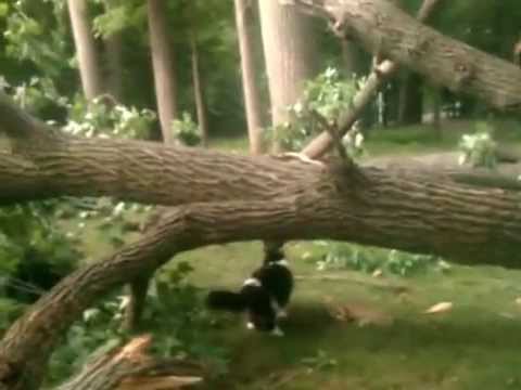 Wendy and Willy-unscathed, #charmedbyus #charmies #charmiesbywendy