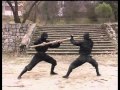 Koga Ryu Ninjutsu Empty Hands